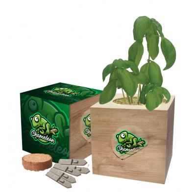 Image of Eco Cube